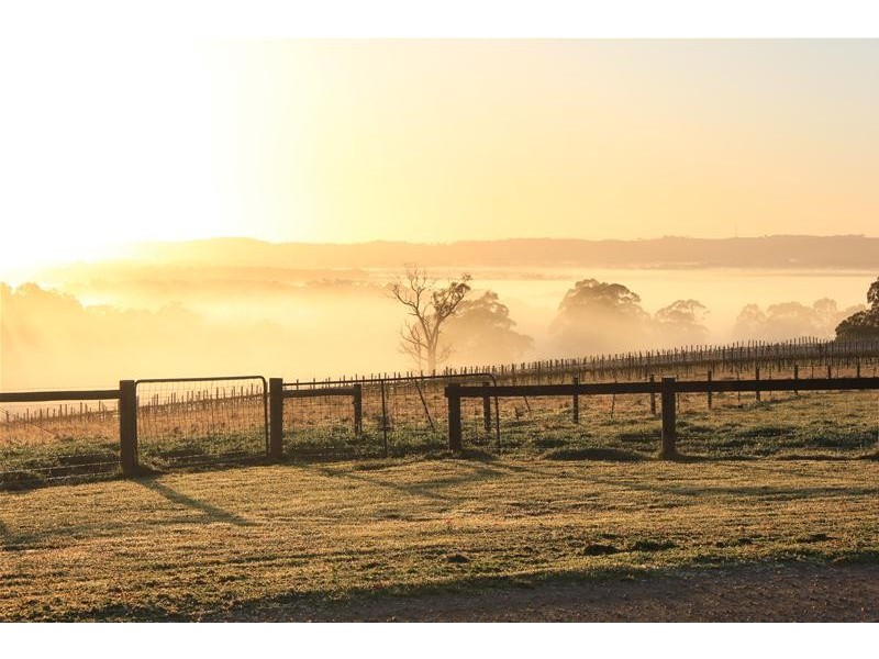 Lot 1 Toops Hill  Road, Kangarilla SA 5157