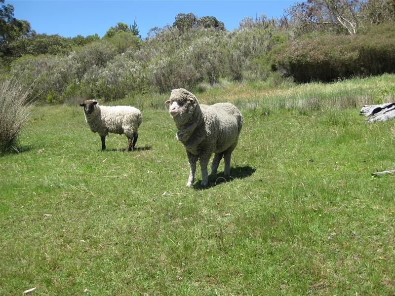 346 Cleland Gully Road, Mount Compass SA 5210