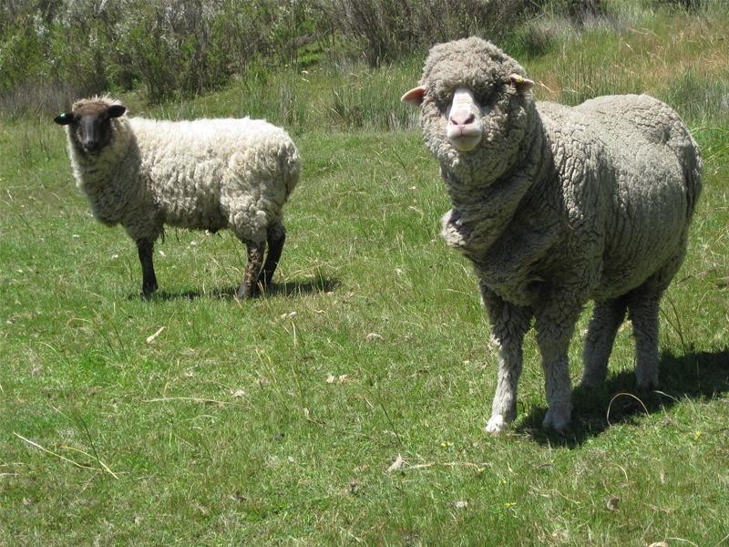 346 Cleland Gully Road, Mount Compass SA 5210