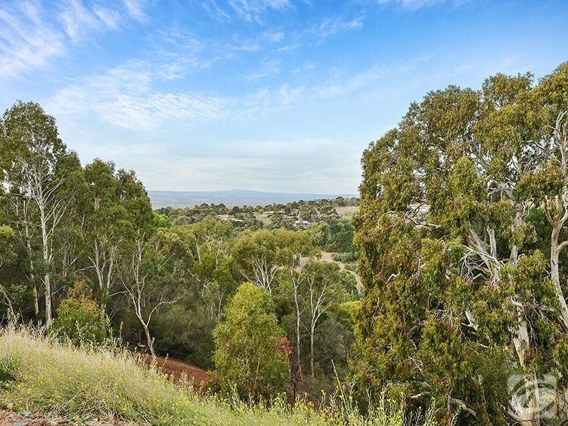 63 Bangor Road, Willunga SA 5172