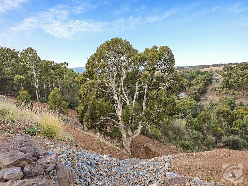 63 Bangor Road, Willunga SA 5172