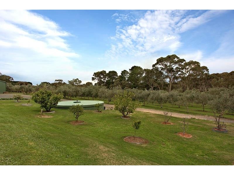 306 Blewitt Springs Road, Blewitt Springs SA 5171