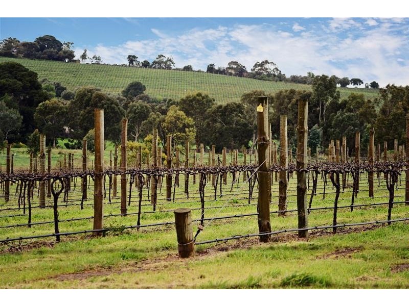 Lot 13 Hyland  Rise, Mclaren Vale SA 5171