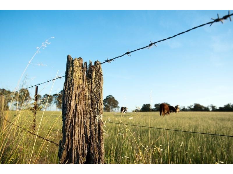 Lot 4 Walkers Lane, Mclaren Vale SA 5171