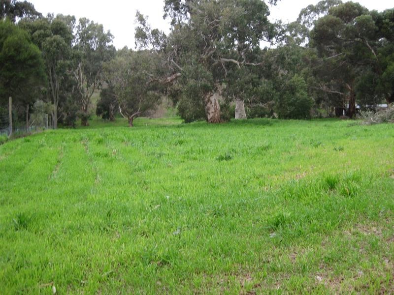 1 Old Willunga Hill Road, Willunga SA 5172