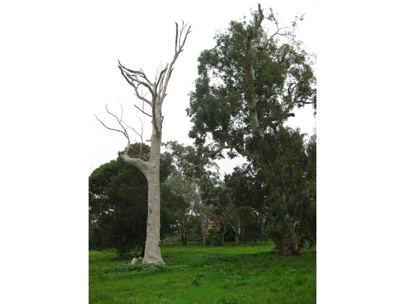 1 Old Willunga Hill Road, Willunga SA 5172