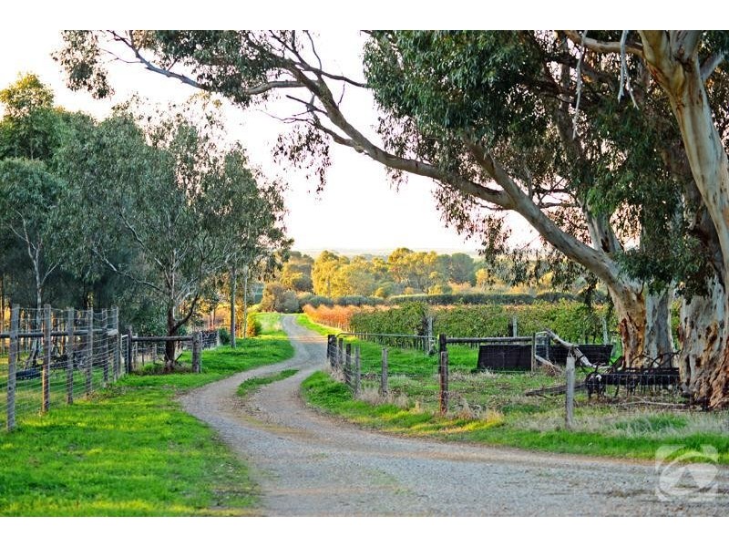 264 Hahn Road, Sellicks Hill SA 5174
