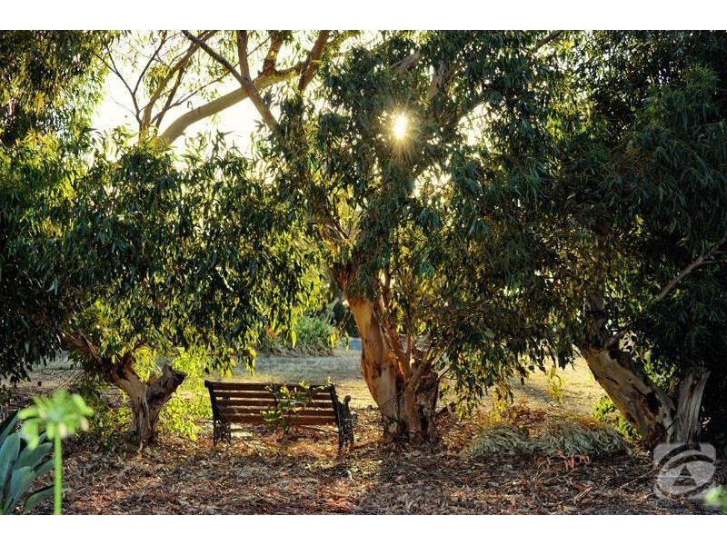 6 Chaff Mill Road, Sellicks Hill SA 5174