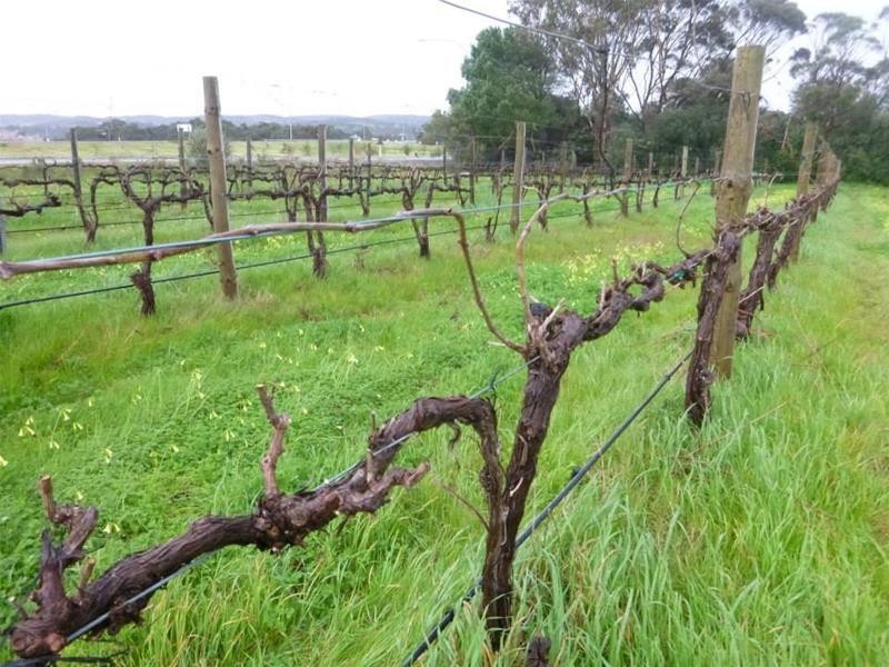 Lot 20 Pethick Road, Willunga SA 5172