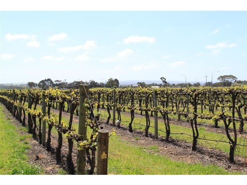 Lot 20 Pethick Road, Willunga SA 5172