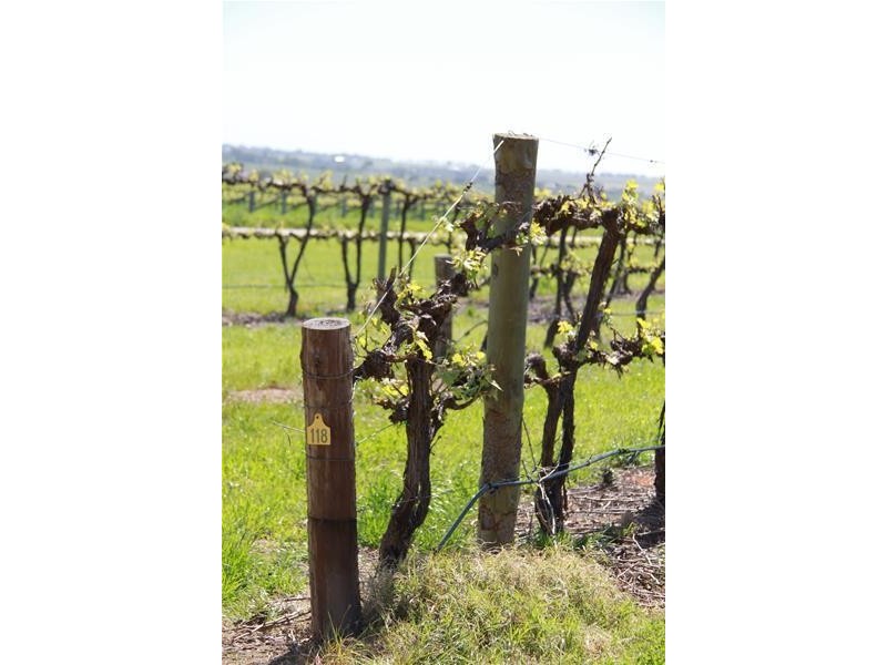 Lot 20 Pethick Road, Willunga SA 5172