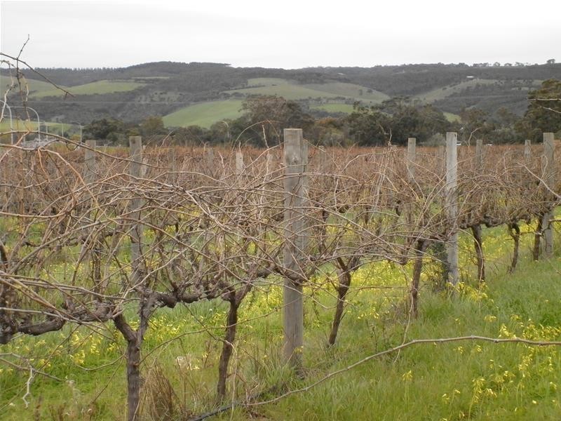 Lot 20 Pethick Road, Willunga SA 5172