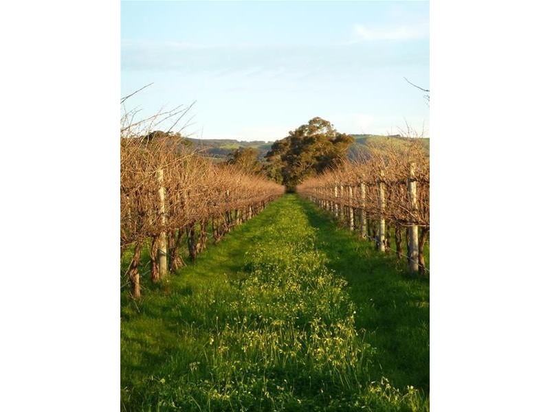 Lot 20 Pethick Road, Willunga SA 5172