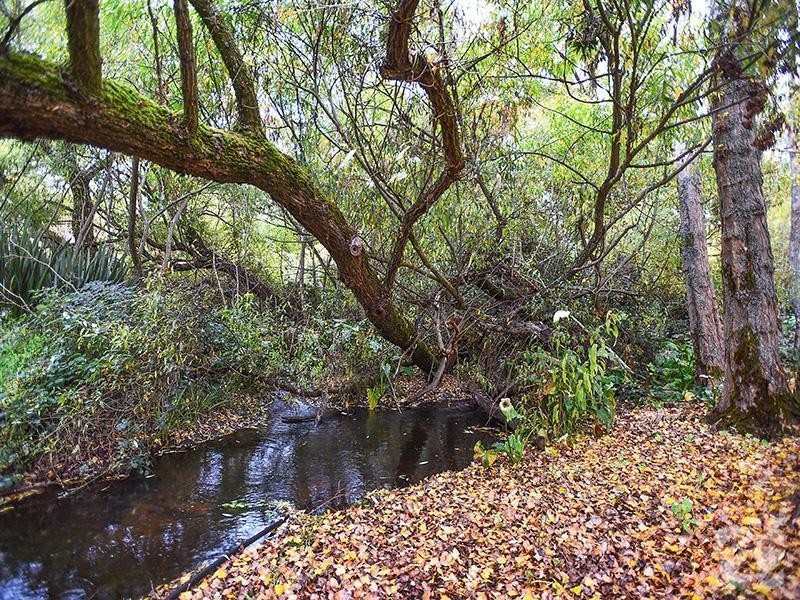 240 Cleland Gully Road, Mount Compass SA 5210