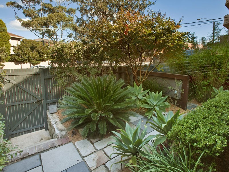 237 Clovelly Road, Clovelly NSW 2031