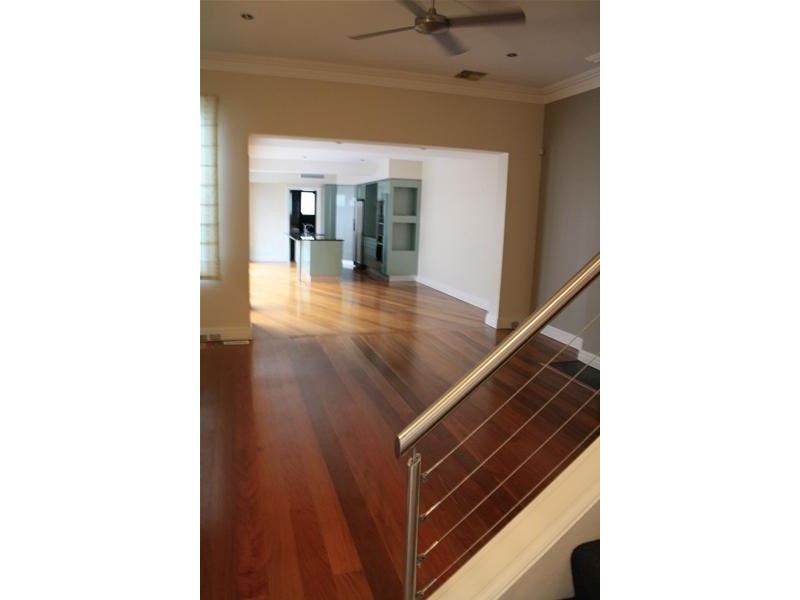 115 Hargrave Street, Paddington NSW 2021