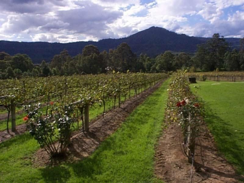 520 Illaro Road, Cambewarra NSW 2540