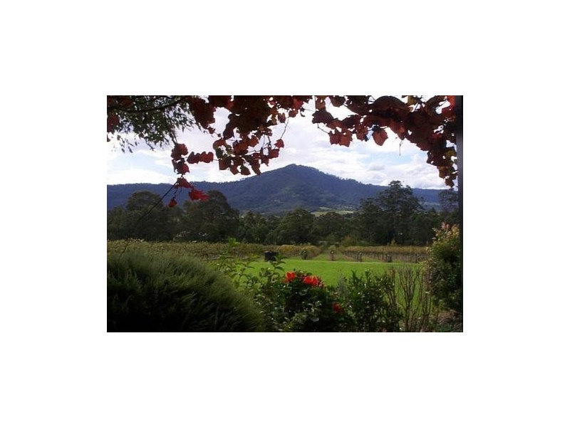 520 Illaro Road, Cambewarra NSW 2540