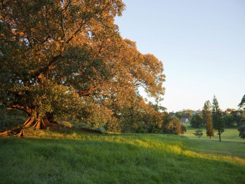 76 Queens Park Road, Queens Park NSW 2022