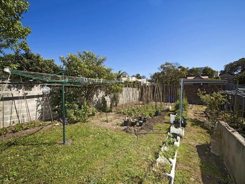 84 Macpherson Street, Bronte NSW 2024
