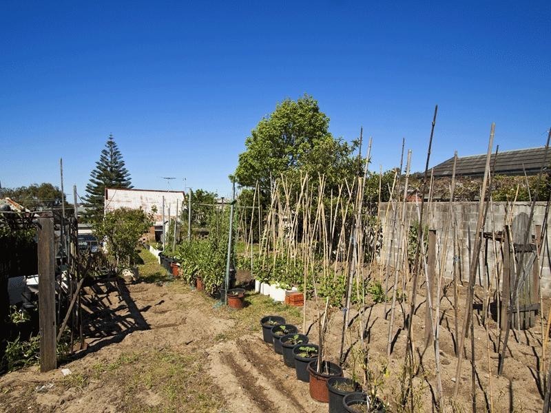 84 Macpherson Street, Bronte NSW 2024