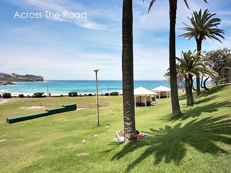 3/467 Bronte Road, Bronte NSW 2024