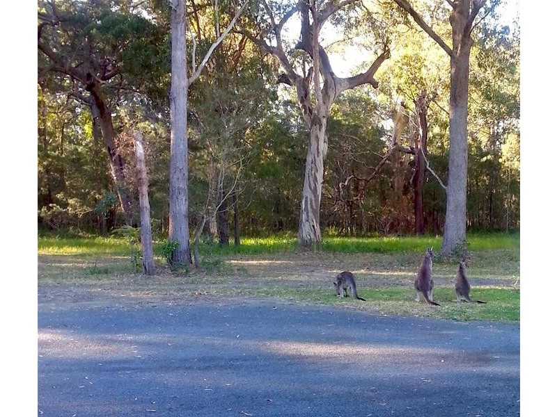 10 Donovan Close, Callala Bay NSW 2540