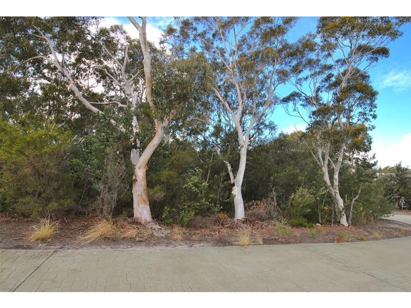 Lot 53 Oakwood Copse, Callala Beach NSW 2540