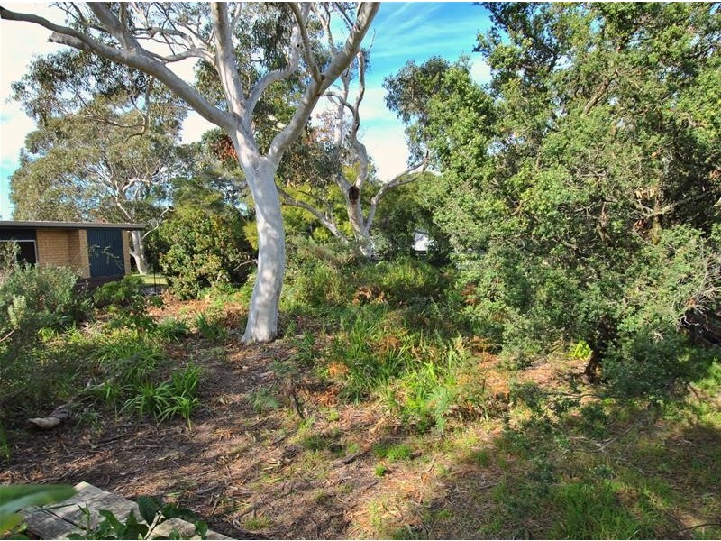 43 Roskell Road, Callala Beach NSW 2540