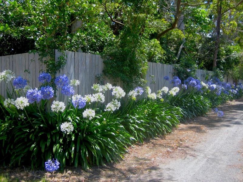 28a Mitchell Road, Callala Bay NSW 2540