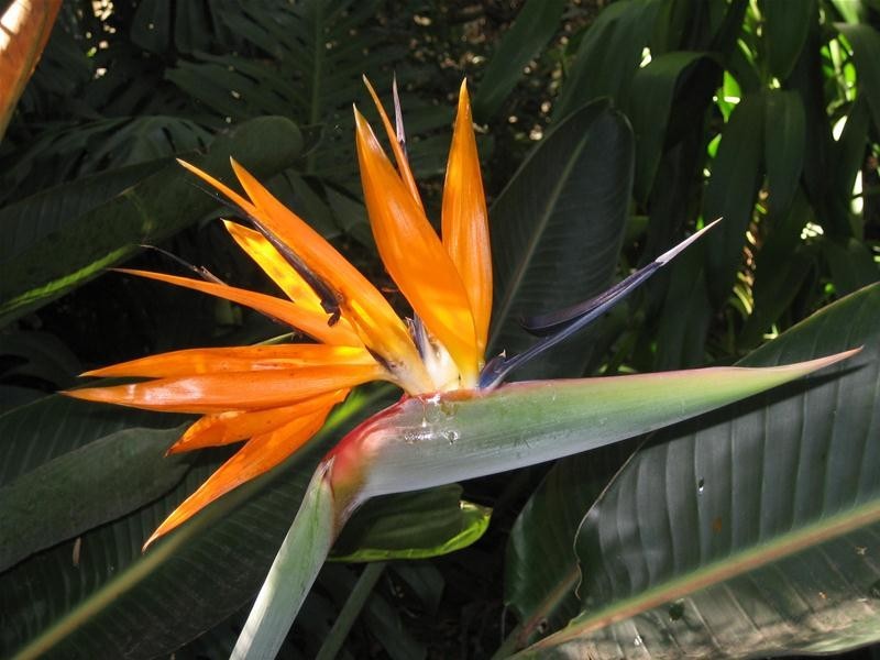 28a Mitchell Road, Callala Bay NSW 2540