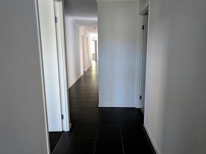 53  Lisa Crescent, Coomera QLD 4209