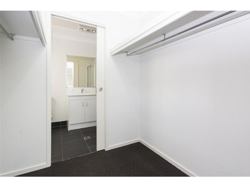 53  Lisa Crescent, Coomera QLD 4209