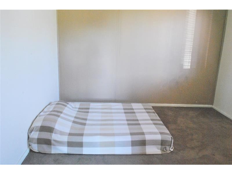 135 Little Barber Street, Gunnedah NSW 2380