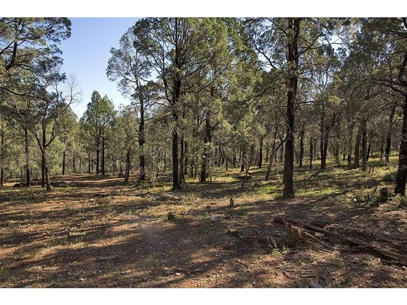 “Burrendah” 98-100 Oxley Highway, Gunnedah NSW 2380