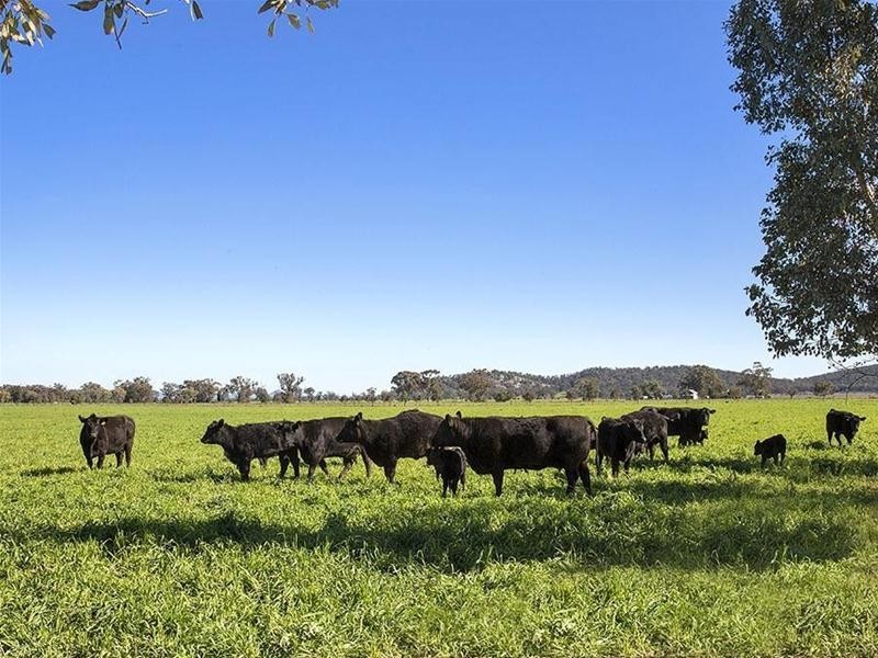 24 Prairies Road, Kelvin NSW 2380