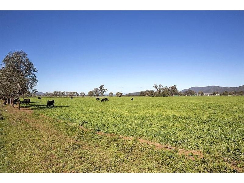 24 Prairies Road, Kelvin NSW 2380