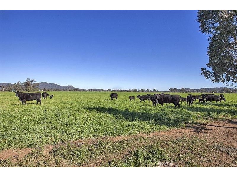 24 Prairies Road, Kelvin NSW 2380