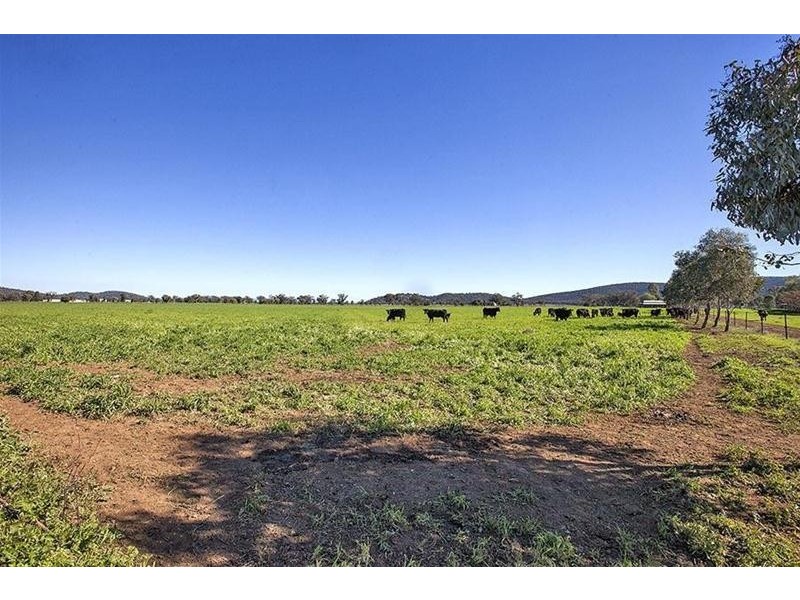 24 Prairies Road, Kelvin NSW 2380