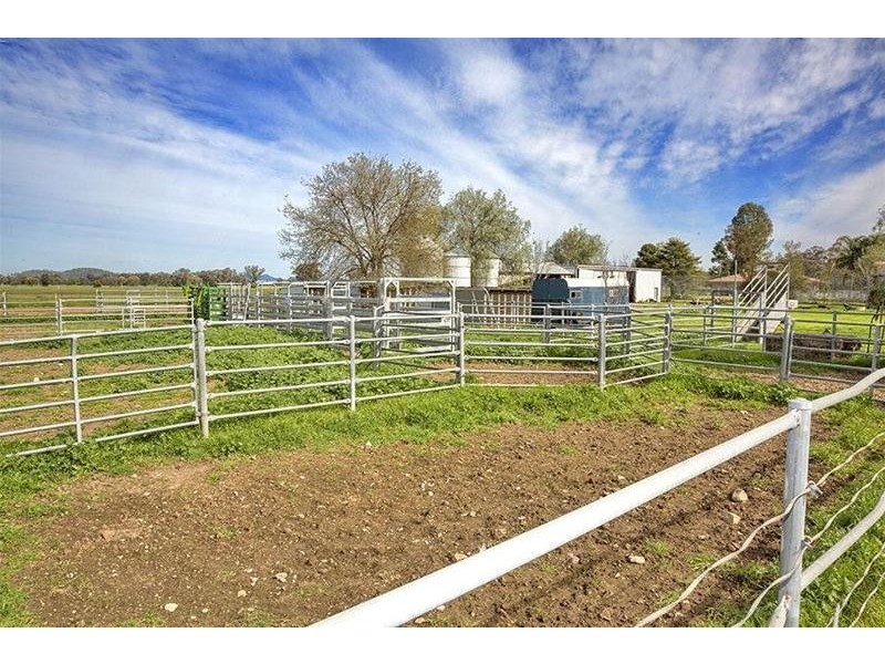 24 Prairies Road, Kelvin NSW 2380