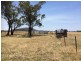 1609 Kelvin, Gunnedah NSW 2380