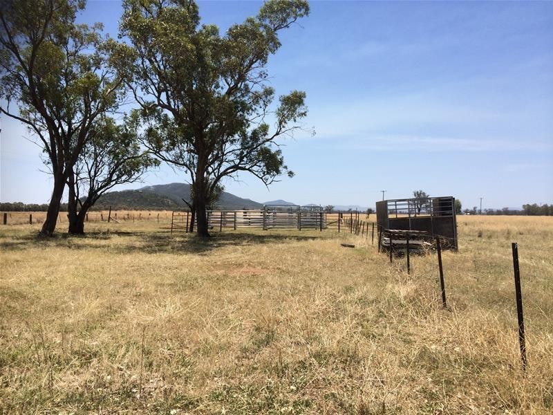 1609 Kelvin, Gunnedah NSW 2380