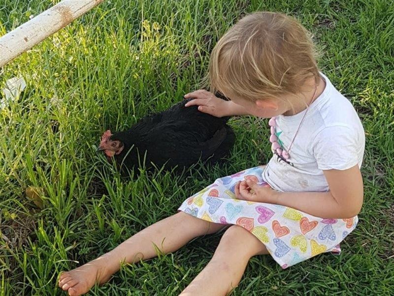 187 Quia Road, Gunnedah NSW 2380