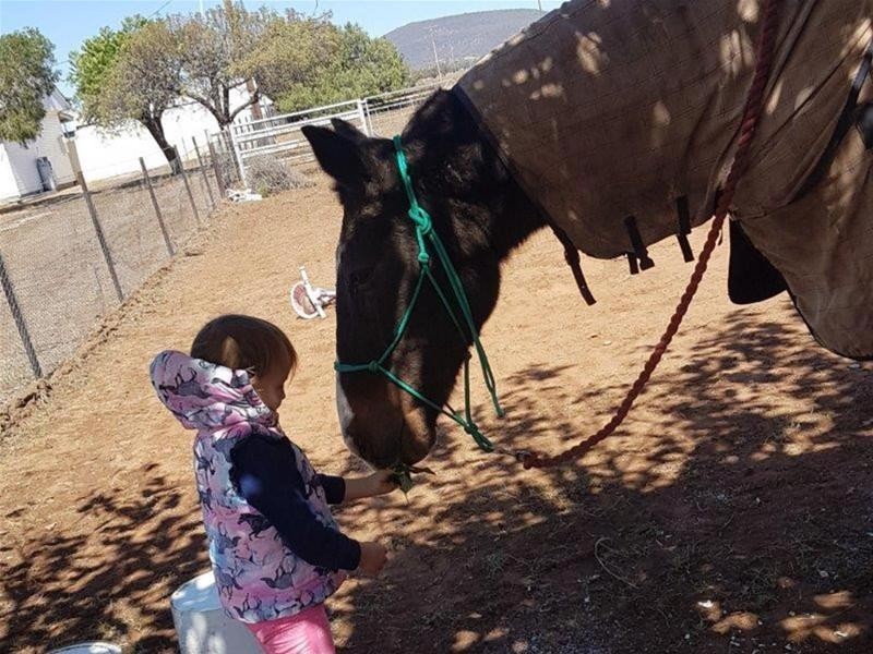 187 Quia Road, Gunnedah NSW 2380