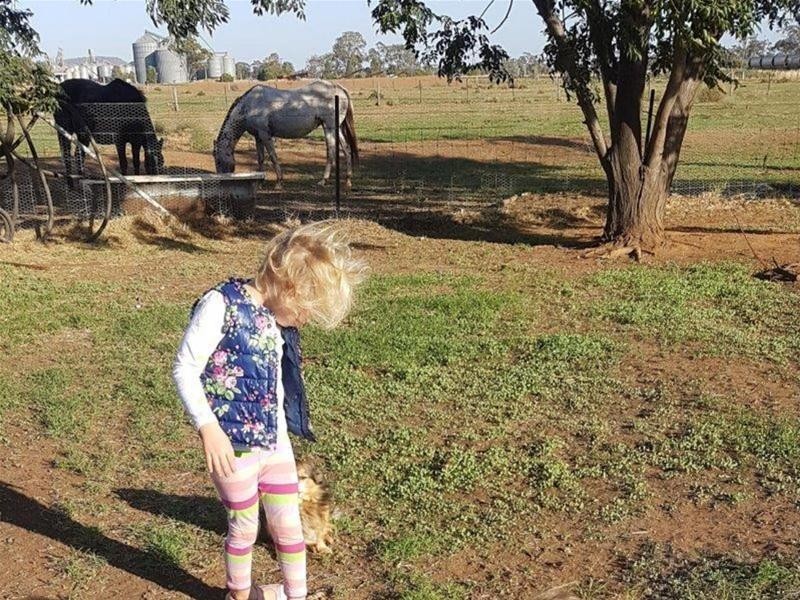 187 Quia Road, Gunnedah NSW 2380