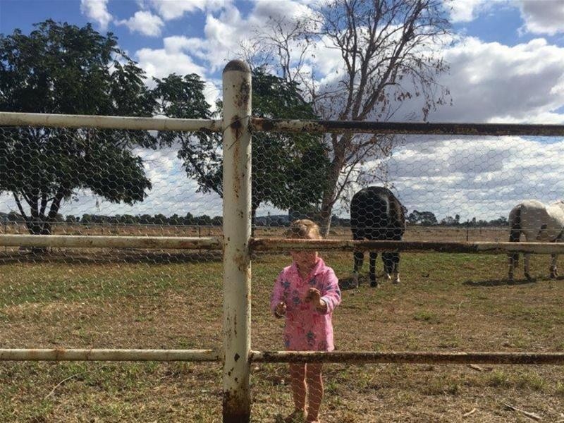 187 Quia Road, Gunnedah NSW 2380