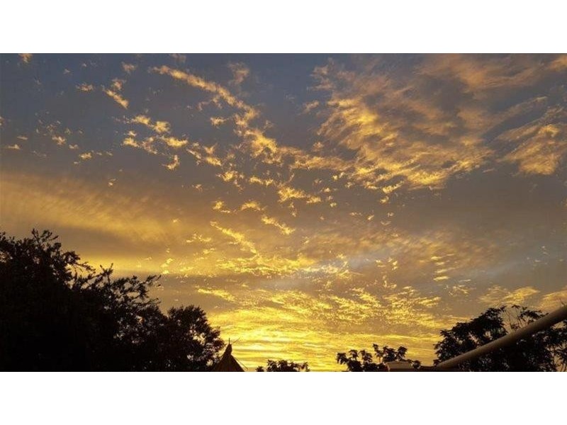 187 Quia Road, Gunnedah NSW 2380