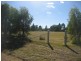 32 Booloocooroo Road, Gunnedah NSW 2380