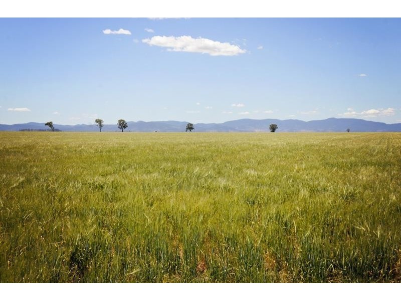 8354 Kamilaroi Road, Curlewis NSW 2381