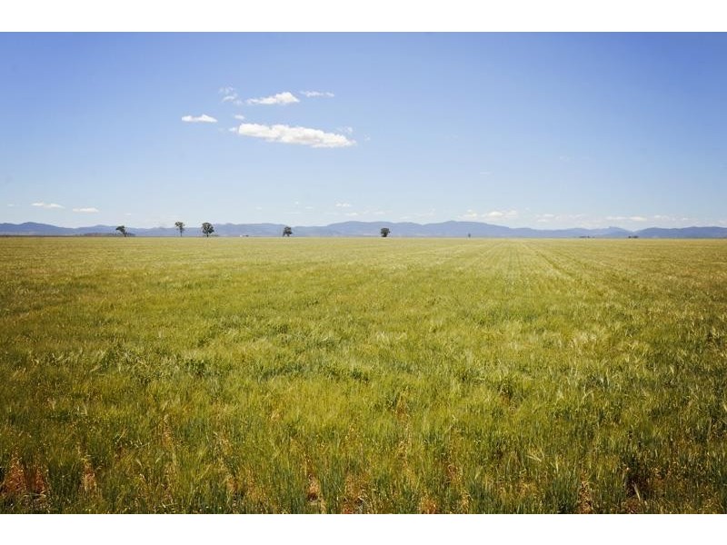 8354 Kamilaroi Road, Curlewis NSW 2381